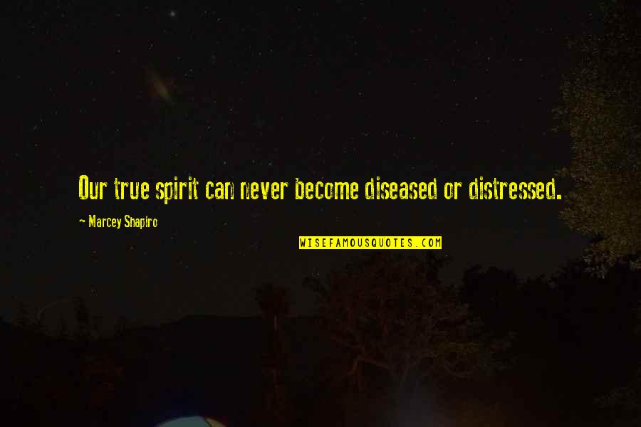 Haugthily Quotes By Marcey Shapiro: Our true spirit can never become diseased or