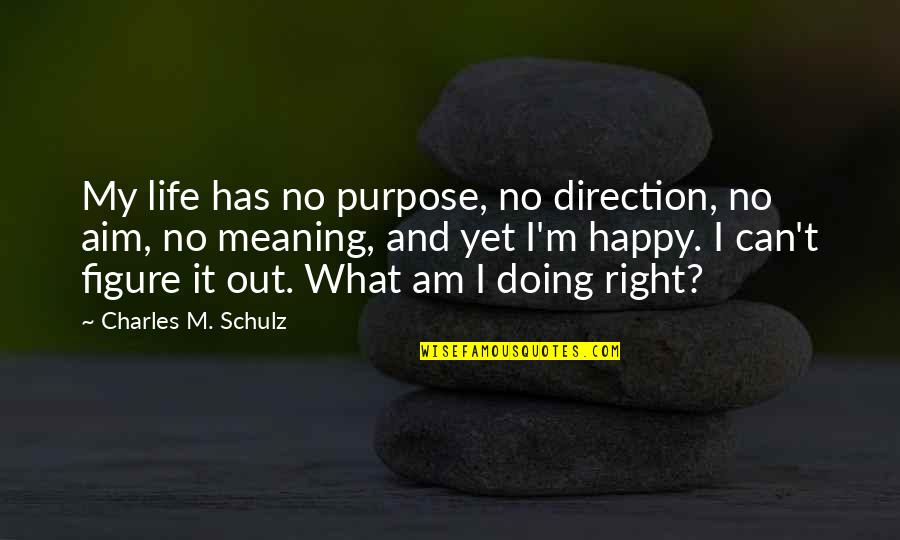 Haukaas Bale Quotes By Charles M. Schulz: My life has no purpose, no direction, no