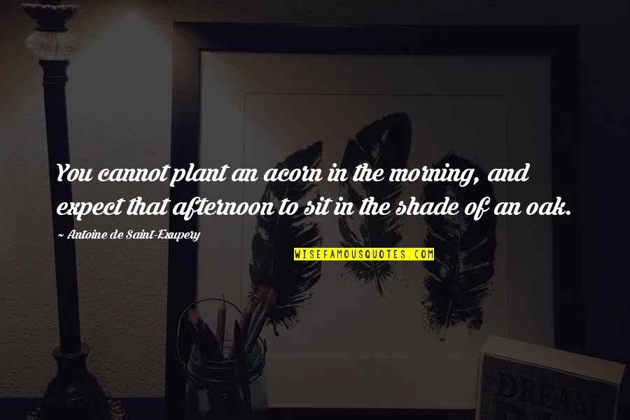 Hauly Quotes By Antoine De Saint-Exupery: You cannot plant an acorn in the morning, Hauly Quotes By Antoine De Saint-Exupery: You cannot plant an acorn in the morning,