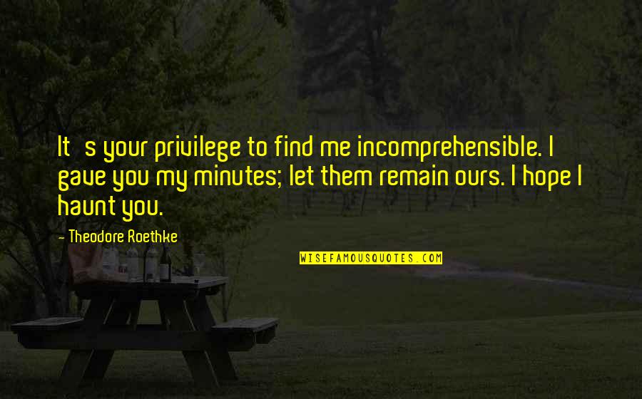 Haunt Quotes By Theodore Roethke: It's your privilege to find me incomprehensible. I