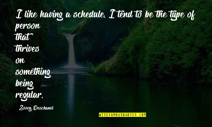 Haunting Beauty Quotes By Zooey Deschanel: I like having a schedule. I tend to