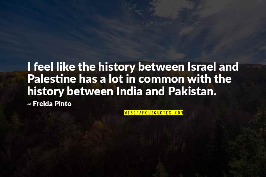 Haunting Violet Quotes By Freida Pinto: I feel like the history between Israel and