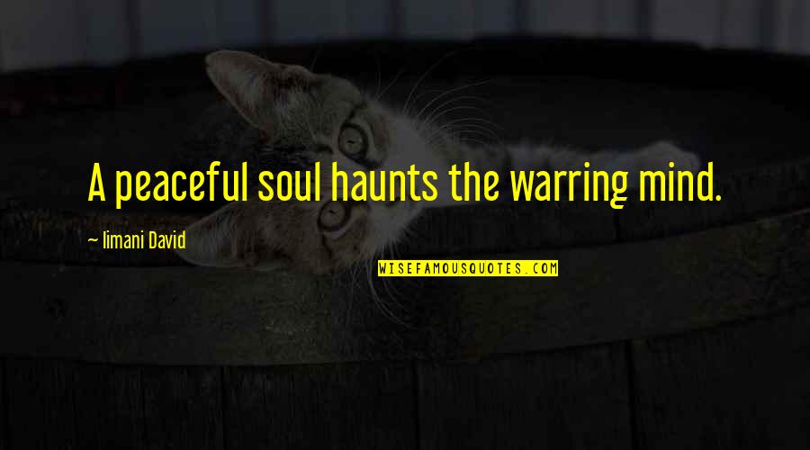 Haunts Quotes By Iimani David: A peaceful soul haunts the warring mind.