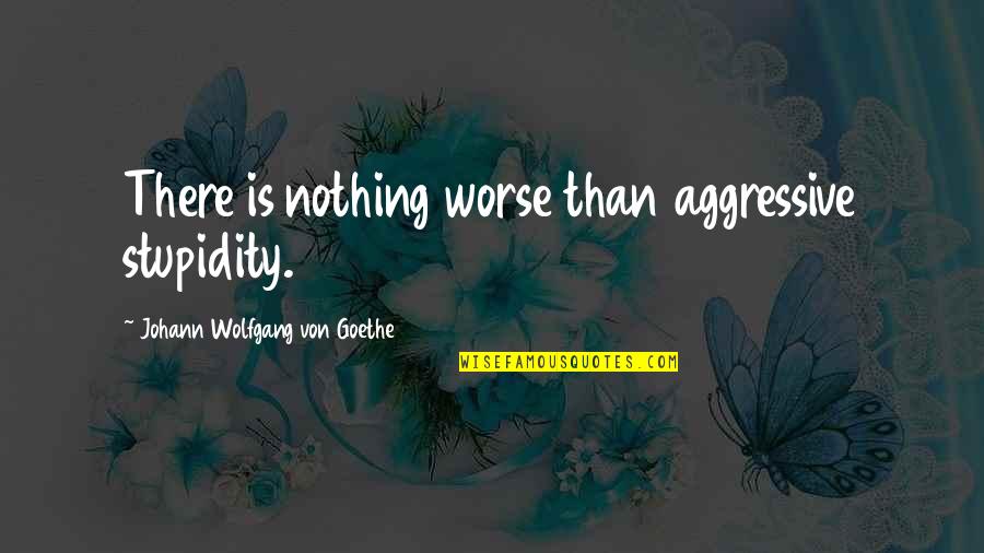 Hauptsache Gesund Quotes By Johann Wolfgang Von Goethe: There is nothing worse than aggressive stupidity.