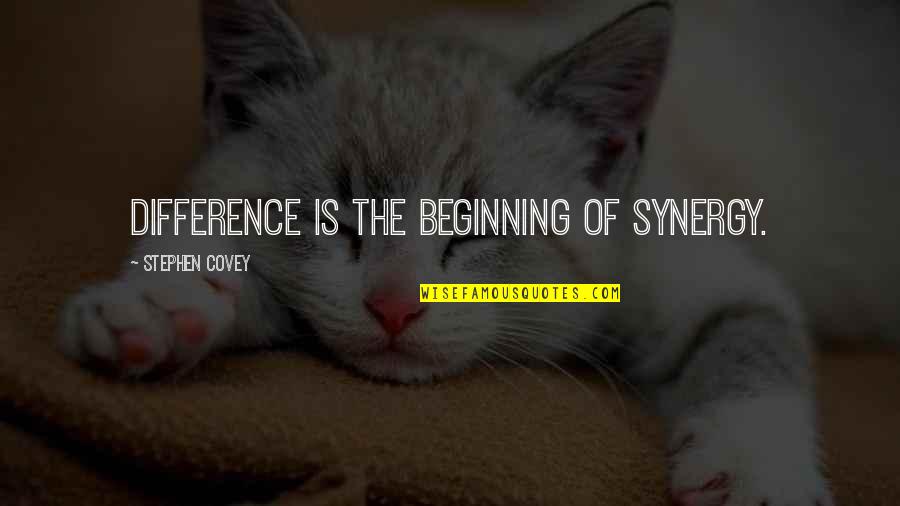 Hausa Language Quotes By Stephen Covey: Difference is the beginning of synergy.