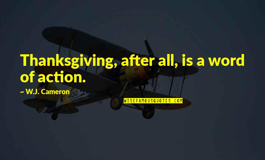 Havayar Quotes By W.J. Cameron: Thanksgiving, after all, is a word of action.