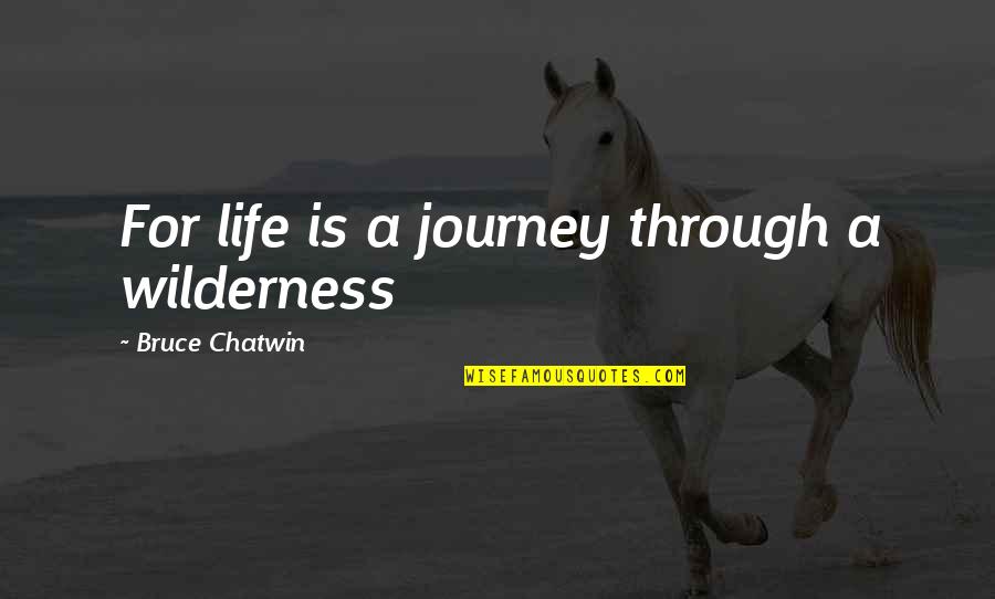 Havcedu Quotes By Bruce Chatwin: For life is a journey through a wilderness