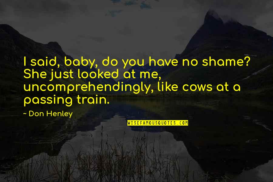 Have A Baby Quotes By Don Henley: I said, baby, do you have no shame? Have A Baby Quotes By Don Henley: I said, baby, do you have no shame?
