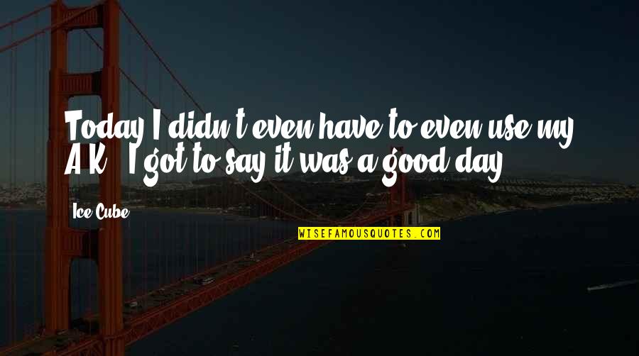 Have A Good Day Quotes By Ice Cube: Today I didn't even have to even use