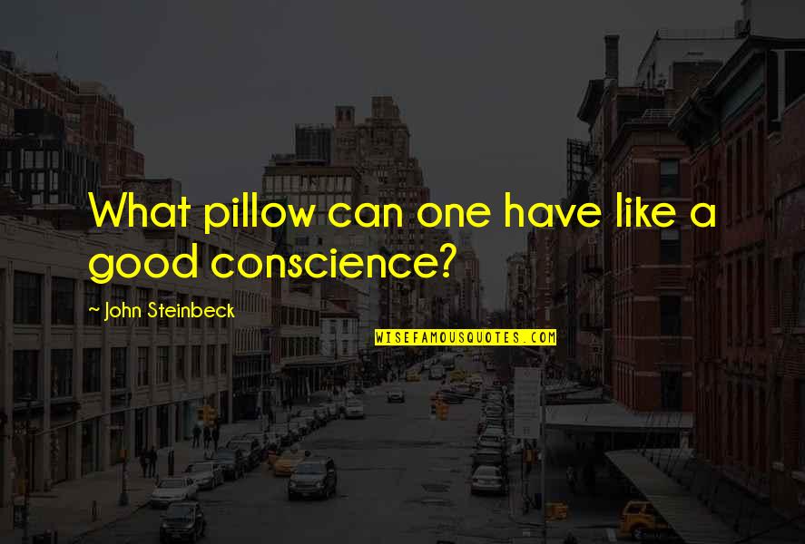Have A Good One Quotes By John Steinbeck: What pillow can one have like a good