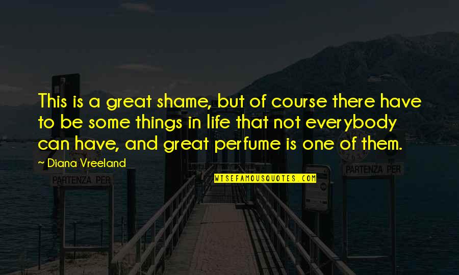 Have A Great Life Quotes By Diana Vreeland: This is a great shame, but of course