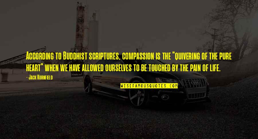 Have A Pure Heart Quotes By Jack Kornfield: According to Buddhist scriptures, compassion is the "quivering