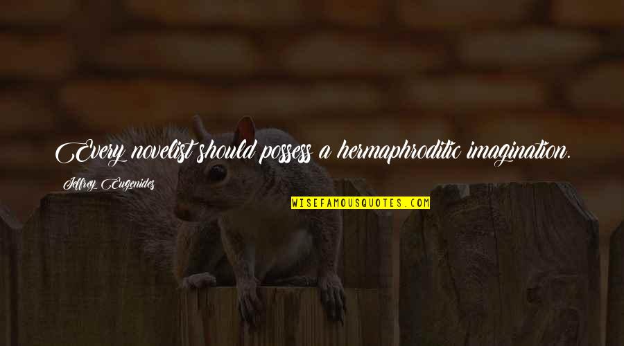 Have A Pure Heart Quotes By Jeffrey Eugenides: Every novelist should possess a hermaphroditic imagination.