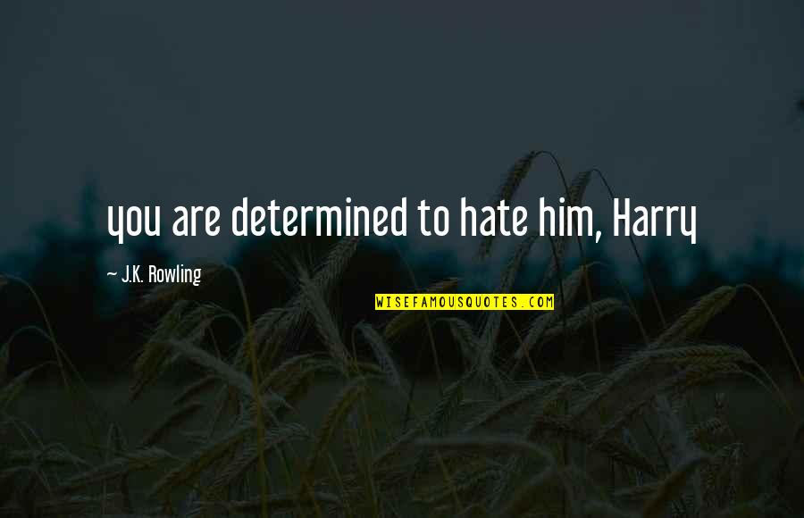 Have A Super Day Quotes By J.K. Rowling: you are determined to hate him, Harry