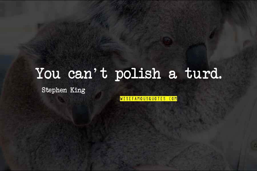 Have A Wonderful Night Quotes By Stephen King: You can't polish a turd.