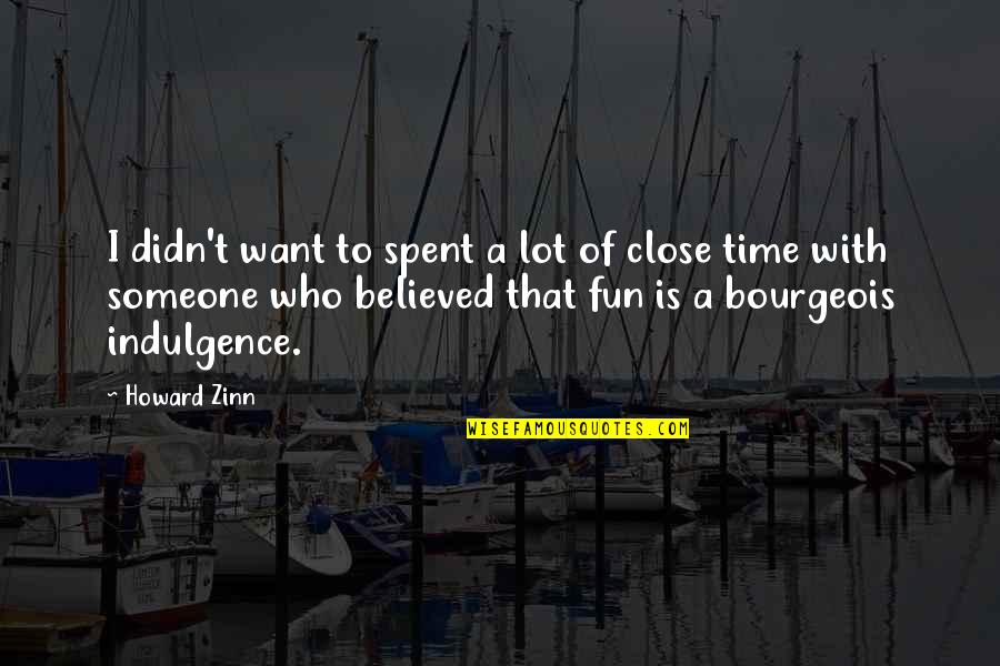 Have Fun And Enjoy Life Quotes By Howard Zinn: I didn't want to spent a lot of