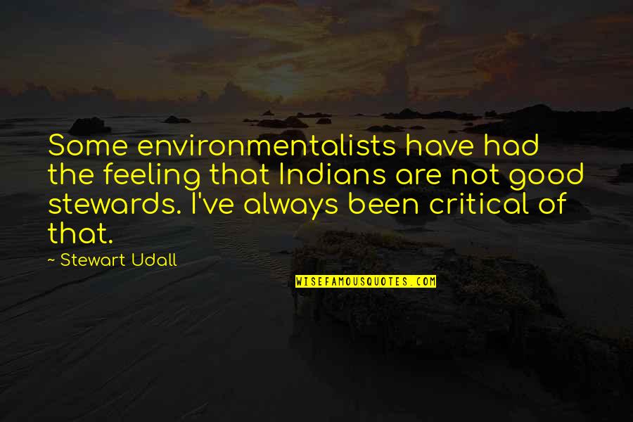 Have Good Feeling Quotes By Stewart Udall: Some environmentalists have had the feeling that Indians