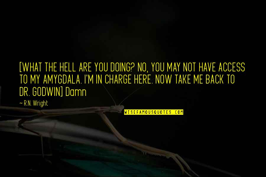 Have Me Back Quotes By R.N. Wright: [WHAT THE HELL ARE YOU DOING? NO, YOU