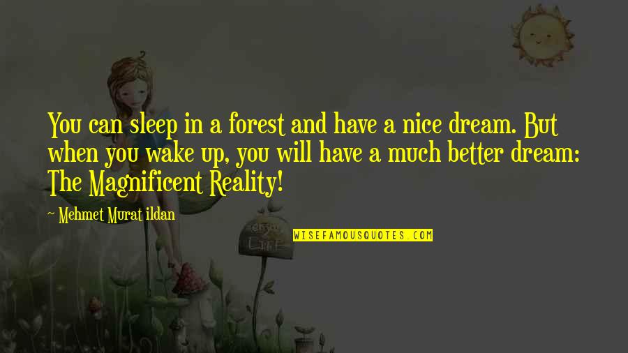 Have Nice Dream Quotes By Mehmet Murat Ildan: You can sleep in a forest and have