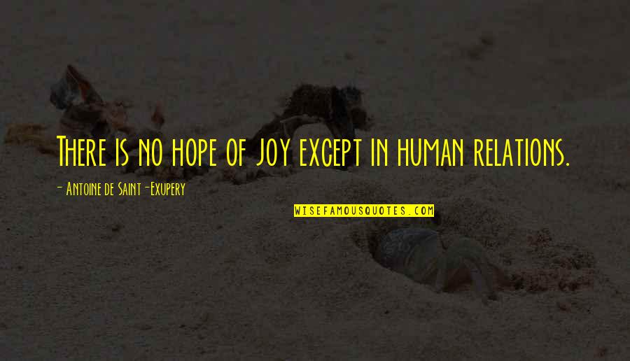 Have No Friends Quotes By Antoine De Saint-Exupery: There is no hope of joy except in