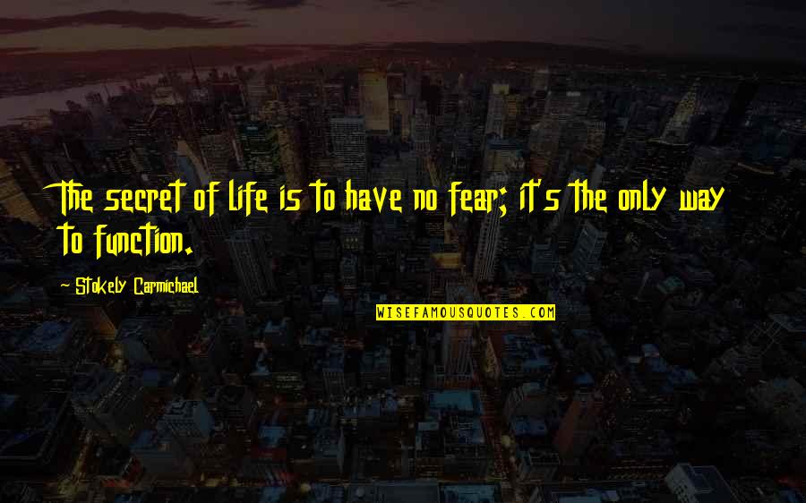 Have No Life Quotes By Stokely Carmichael: The secret of life is to have no Have No Life Quotes By Stokely Carmichael: The secret of life is to have no