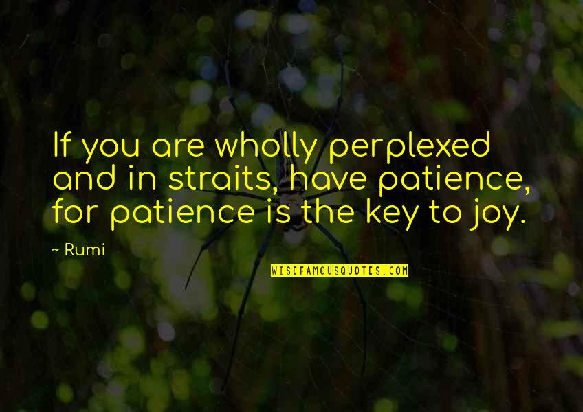 Have No Patience Quotes By Rumi: If you are wholly perplexed and in straits,