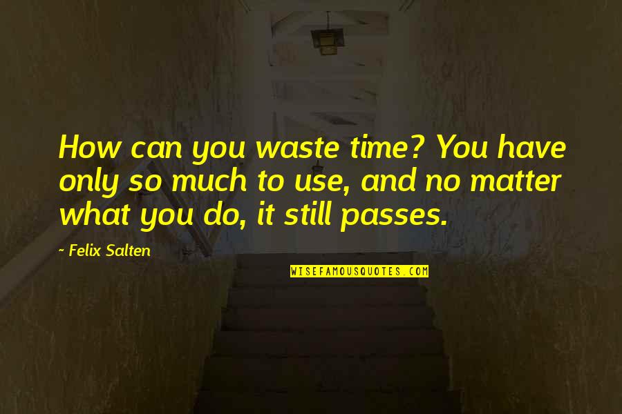 Have No Time To Waste Quotes By Felix Salten: How can you waste time? You have only