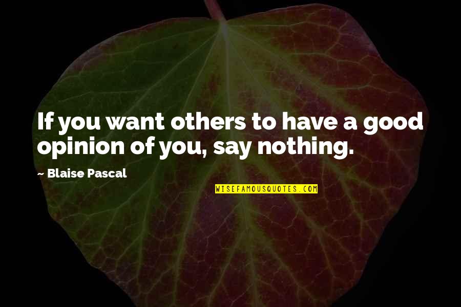 Have Nothing To Say Quotes By Blaise Pascal: If you want others to have a good