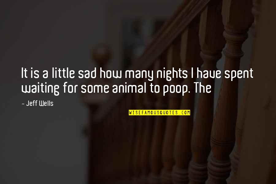 Have To Poop Quotes By Jeff Wells: It is a little sad how many nights