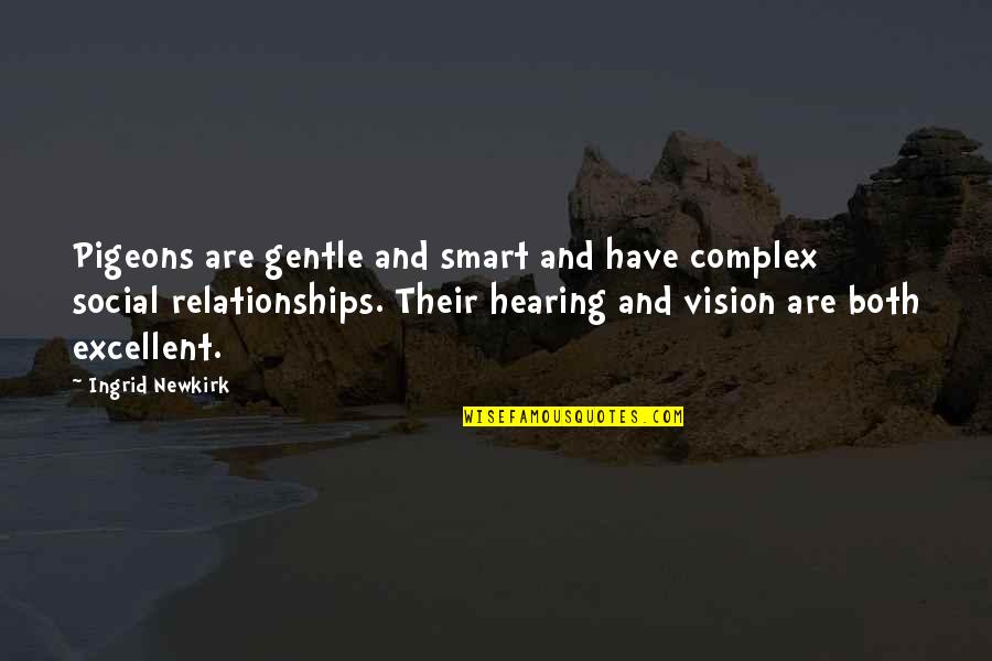 Have Vision Quotes By Ingrid Newkirk: Pigeons are gentle and smart and have complex