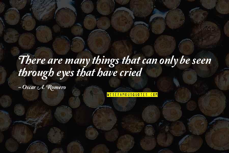 Have You Ever Cried Quotes By Oscar A. Romero: There are many things that can only be