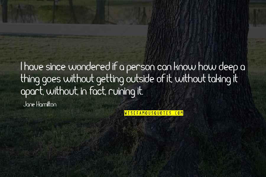 Have You Ever Wondered Quotes By Jane Hamilton: I have since wondered if a person can