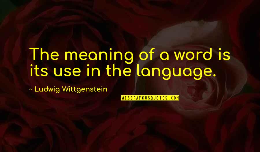 Havea Quotes By Ludwig Wittgenstein: The meaning of a word is its use