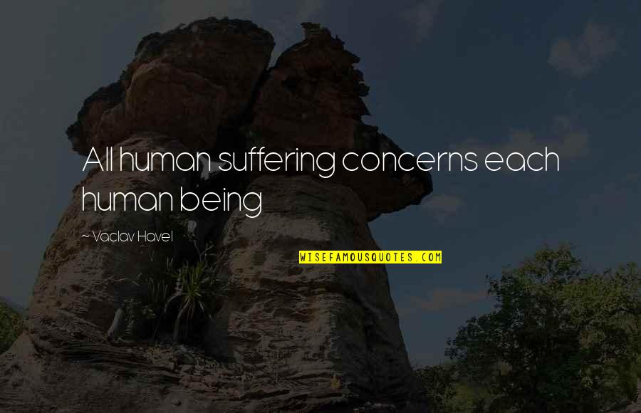 Havel Quotes By Vaclav Havel: All human suffering concerns each human being