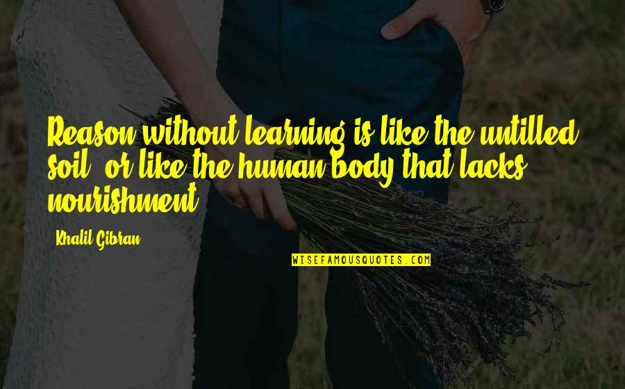 Haven Seen You In Ages Quotes By Khalil Gibran: Reason without learning is like the untilled soil,