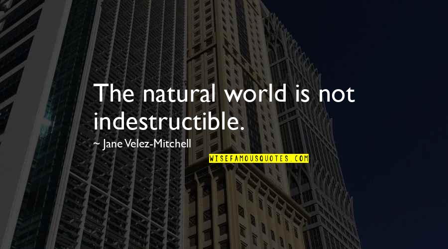 Havenatm Quotes By Jane Velez-Mitchell: The natural world is not indestructible.