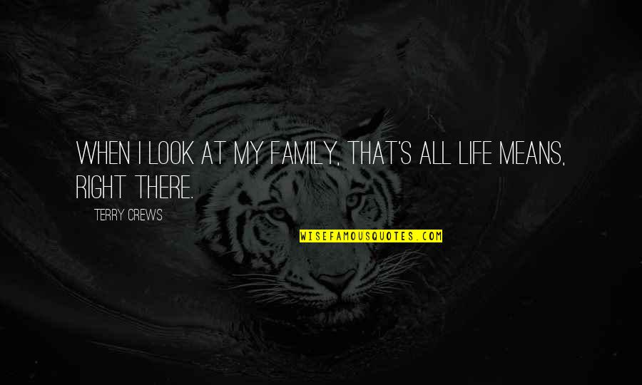 Haverkamp Gmbh Quotes By Terry Crews: When I look at my family, that's all