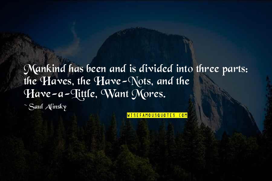 Haves Quotes By Saul Alinsky: Mankind has been and is divided into three