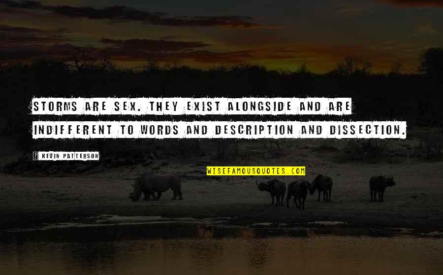 Havets Skjell Quotes By Kevin Patterson: Storms are sex. They exist alongside and are