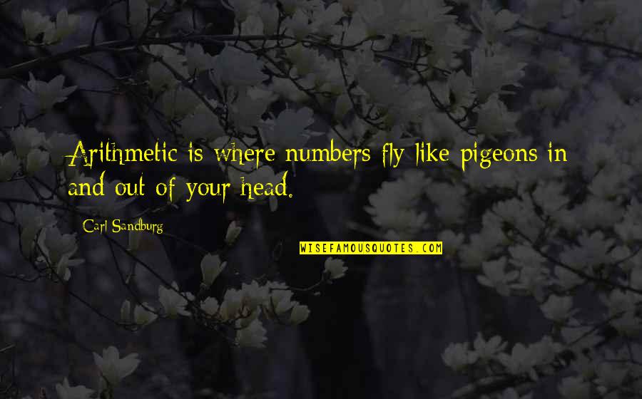 Having A Baby Inspirational Quotes By Carl Sandburg: Arithmetic is where numbers fly like pigeons in