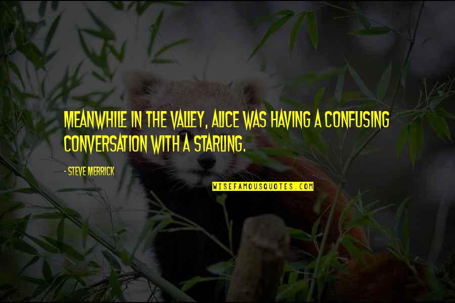 Having A Conversation Quotes By Steve Merrick: Meanwhile in the valley, Alice was having a