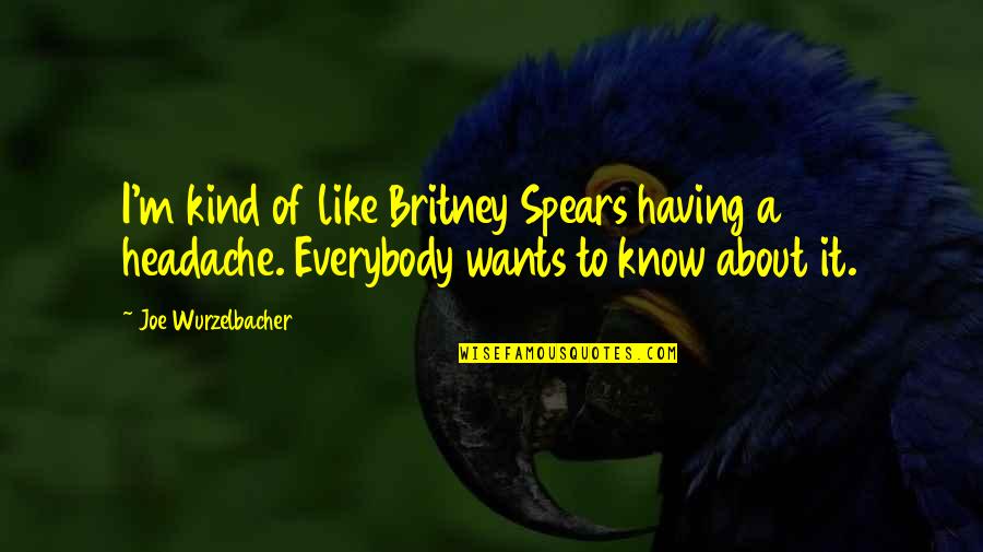 Having A Headache Quotes By Joe Wurzelbacher: I'm kind of like Britney Spears having a