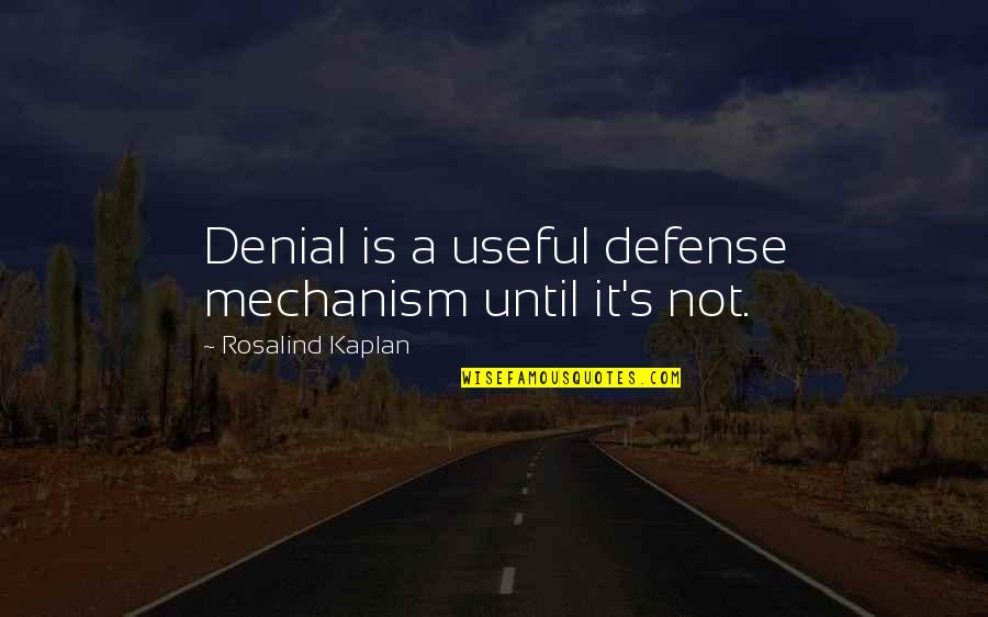Having A Job You Love Quotes By Rosalind Kaplan: Denial is a useful defense mechanism until it's