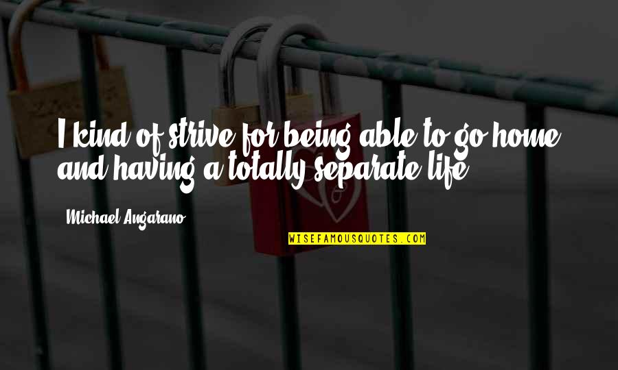 Having A Life Quotes By Michael Angarano: I kind of strive for being able to