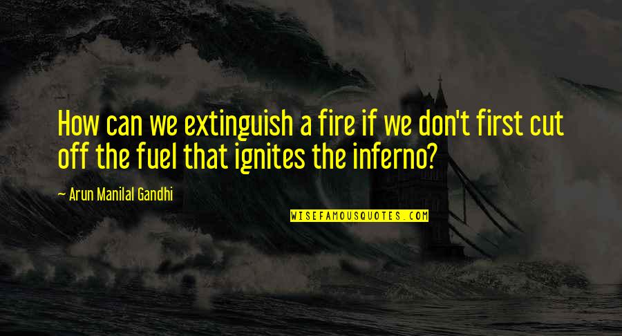 Having A Lot Of Siblings Quotes By Arun Manilal Gandhi: How can we extinguish a fire if we