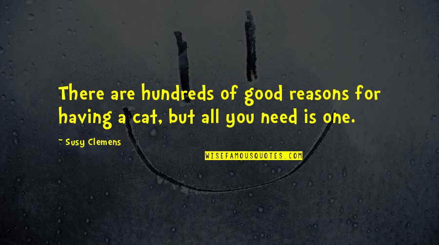 Having All You Need Quotes By Susy Clemens: There are hundreds of good reasons for having