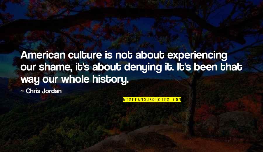 Having An Awesome Life Quotes By Chris Jordan: American culture is not about experiencing our shame,