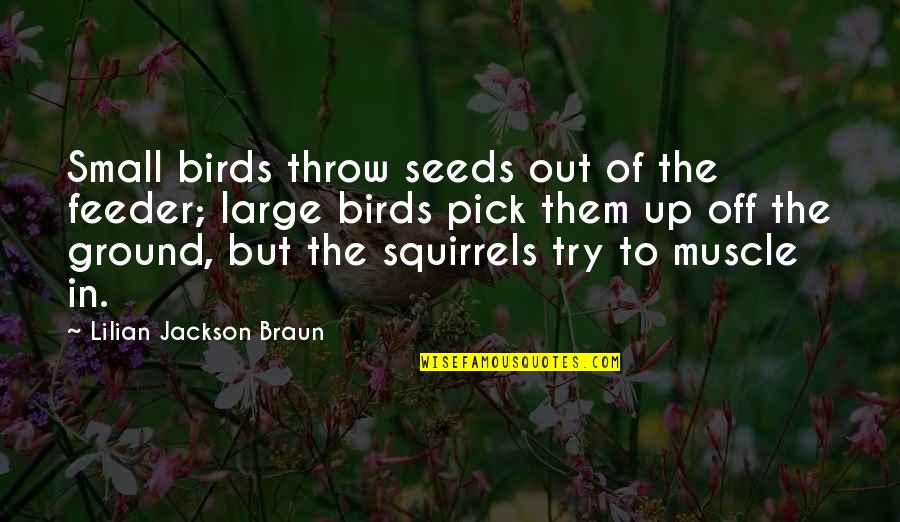Having Braids Quotes By Lilian Jackson Braun: Small birds throw seeds out of the feeder;