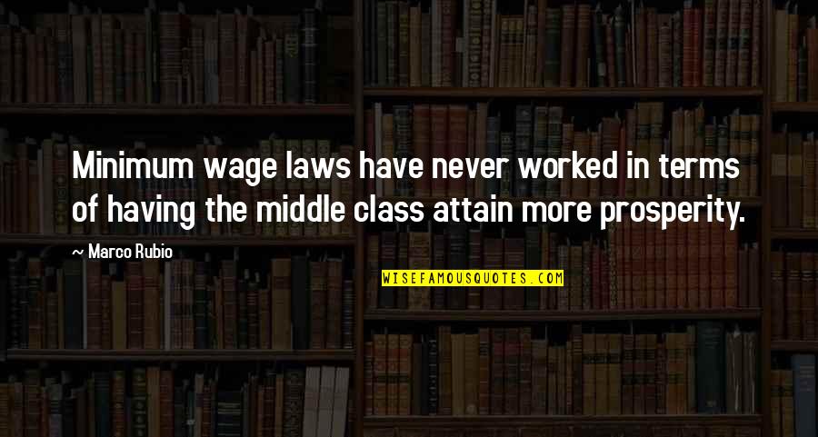 Having Class Quotes By Marco Rubio: Minimum wage laws have never worked in terms