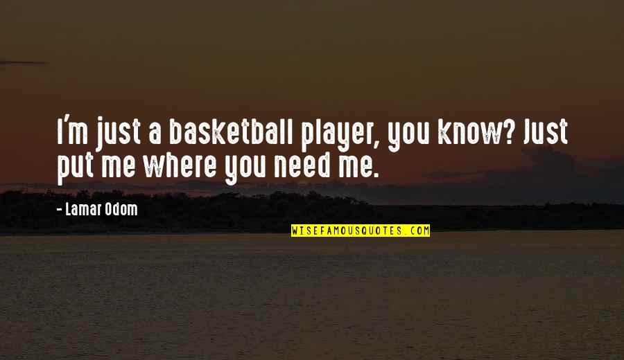 Having Faith When Someone Is Sick Quotes By Lamar Odom: I'm just a basketball player, you know? Just